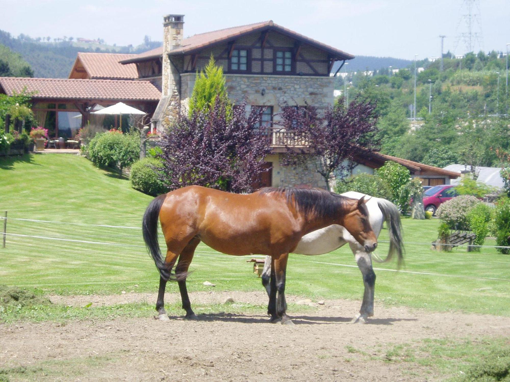 Casa Rural Erdikoetxe Galdakao Exterior foto